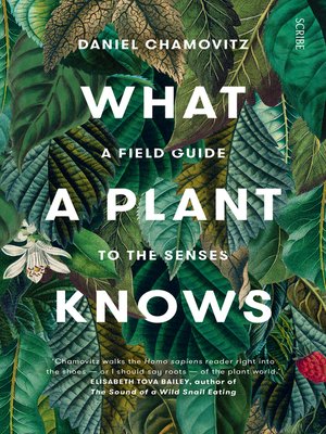 cover image of What a Plant Knows